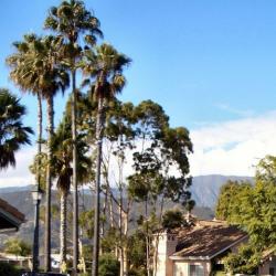 Santa Barbara Real Estate through the end of September 2012